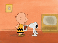 charlie brown GIF by Peanuts