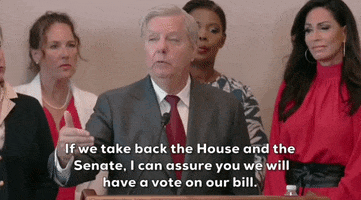 Roe V Wade Gop GIF by GIPHY News
