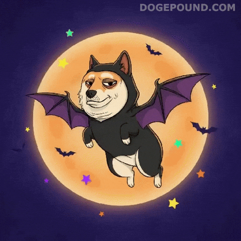 Flying Shiba Inu GIF by Doge Pound