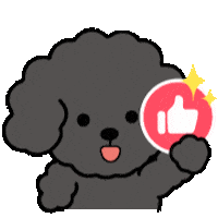Poodle 讚 Sticker