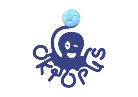 Handball Eindhoven Sticker by E.S.Z.V. Oktopus