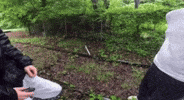 Time Watch GIF