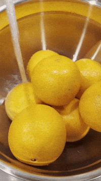 Fruit Wash GIF by Jennifer Greenhill