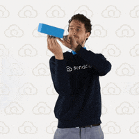Sendcloud basketball nice spin box GIF