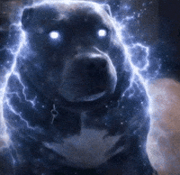 Dawg Hello GIF