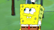 season 9 GIF by SpongeBob SquarePants