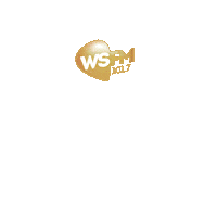 Total Recall Radio Sticker by WSFM1017