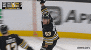 Celebration Hockey GIF by NHL