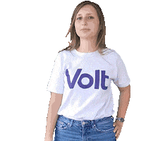 Svolta Facepalm Sticker by Volt Europa