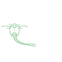 Krebs Urzeitkrebs Sticker by KOSMOS Experimentieren