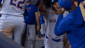 Celebrate Home Run GIF by New York Mets