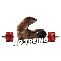 Academiaengenhariadocorpo  Sticker