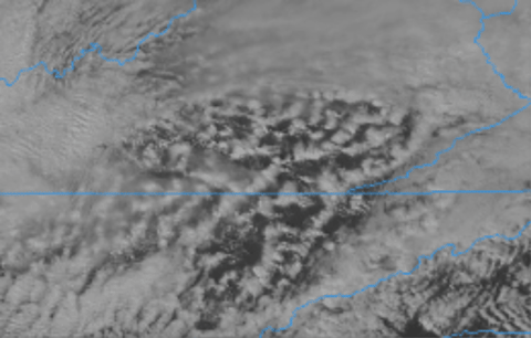 baroowoofr giphygifmaker GIF