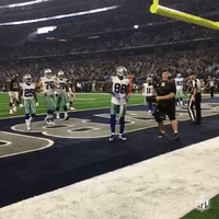 throwupthex GIF by NFL