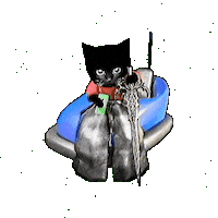 Bro Gif Sticker