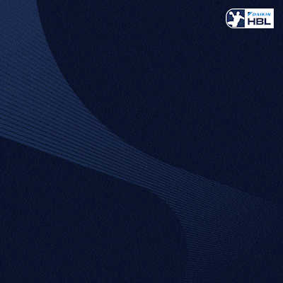 Handball Erlangen GIF by DAIKIN HBL