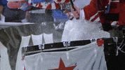 costa rica fan GIF by U.S. Soccer Federation