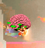 GIF by Ryan Seslow