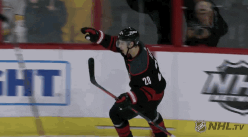 happy ice hockey GIF by NHL