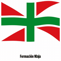 Pais Vasco Bandera GIF by Formación Ninja