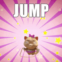 44Cats wow lol omg yay GIF