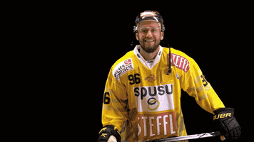 Celebration Yes GIF by Vienna Capitals