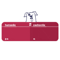 cafunepets cats dogs pet gato Sticker