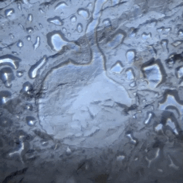 raumzeitpiraten giphyupload audiovisual jerusalem raumzeitpiraten GIF
