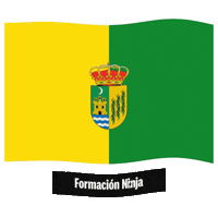 Bandera Granada Sticker by Formación Ninja