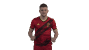 Rode Duivels Football Sticker by Royal Belgian FA