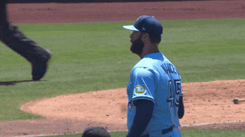 Blue Jays Baseball GIF by Toronto Blue Jays