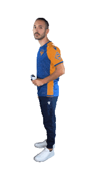 Hves Sticker by Hellas Verona FC