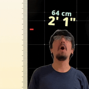 2' 1"