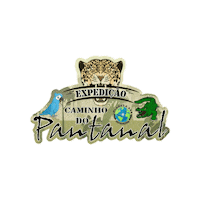 planeta4x4expedicoes 4x4 bonito jacare pantanal Sticker