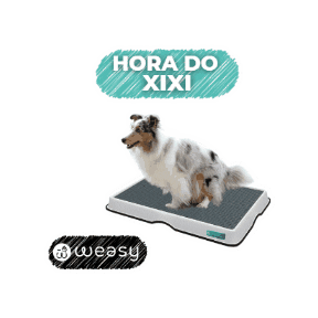 weasy_br giphygifmaker weasy weasycão horadoxixi Sticker
