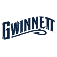 Sticker by Gwinnett Stripers