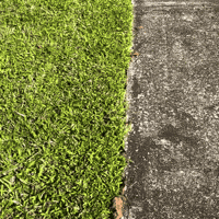 Garden Grass GIF by Spektr