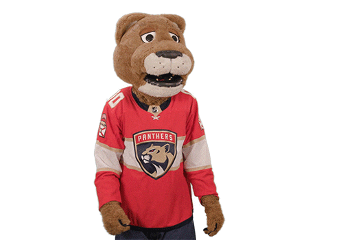 Ice Hockey Sticker by NHL