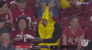 Regular Season Football GIF by NFL