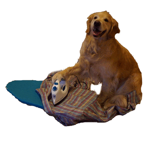 dog Sticker by namslam