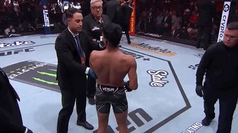 Sport GIF by UFC