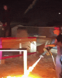 Petoria69 GIF