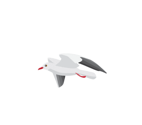momo_001 giphyupload bird fly volo Sticker