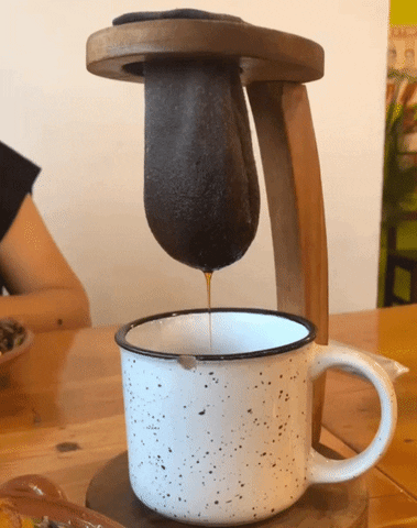 DDI_ giphyupload GIF