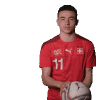 Ruben Vargas Ball Sticker by Swiss Football Association