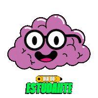 Diadoestudante Sticker by Universidade Cruzeiro do Sul