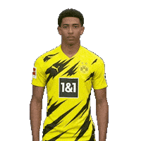 Posing Line Up Sticker by Bundesliga