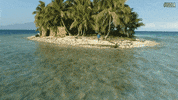 isola14 isola2019 GIF by Isola dei Famosi
