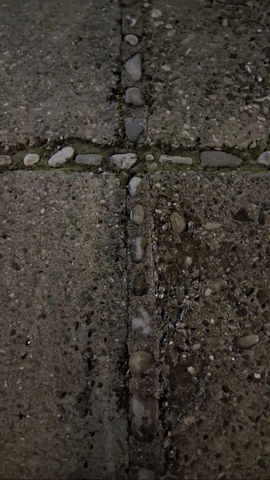 Simongip giphyupload GIF