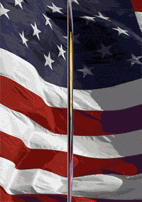 Hillary Clinton Election GIF by Studios 2016